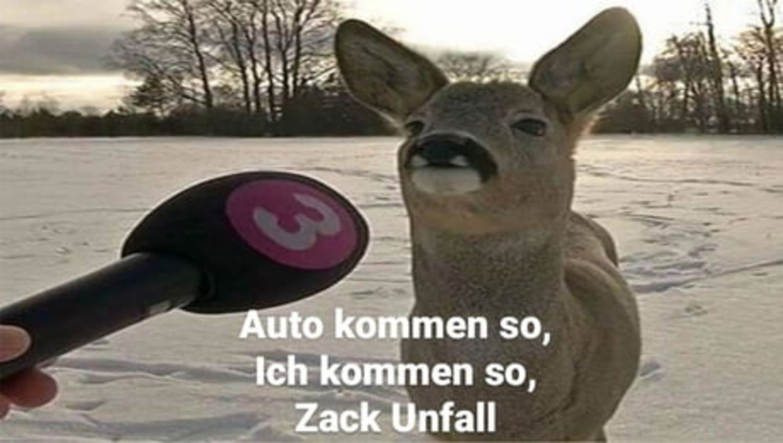 Meme Unfall mit einem Reh