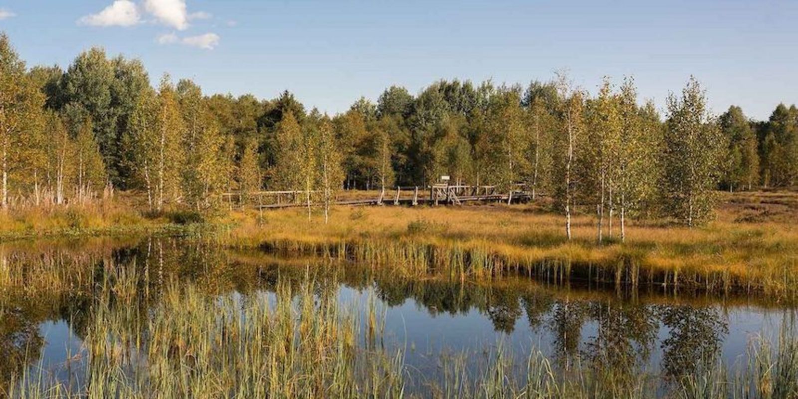 Renaturation of raised bogs in Sous-Martel-Dernier